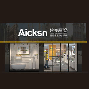 Aicksn Company Profile
