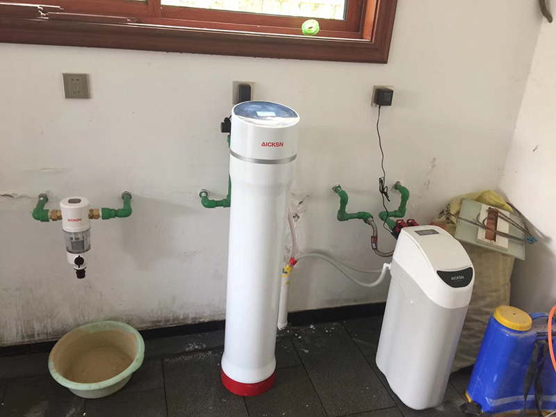 Whole house water purifier