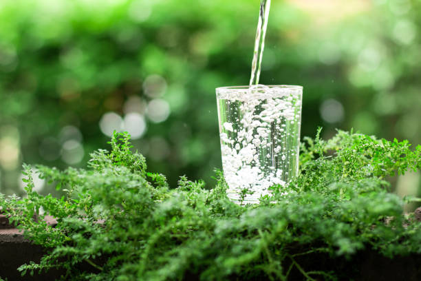 Common problems and solutions in the operation of water softener /water softening equipment