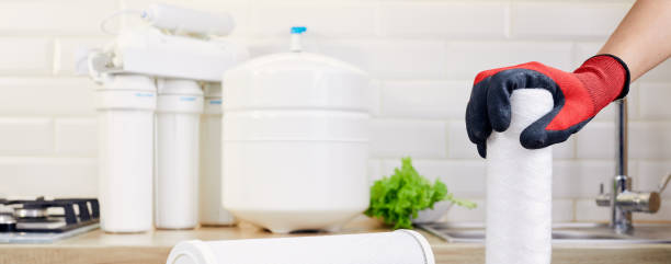 Is a water purifier an IQ tax or a health necessity? Real experience tells you the answer