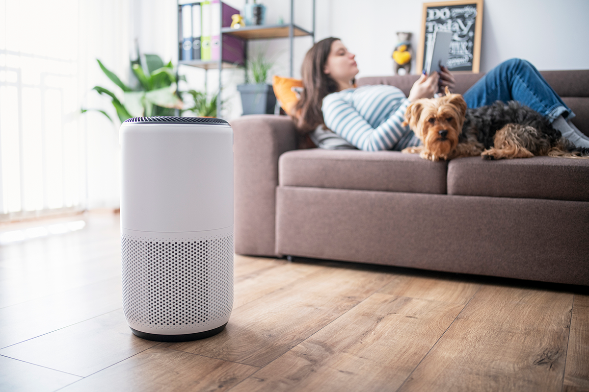 Are air purifiers a necessity or a gimmick? We'll help you figure it out once and for all.