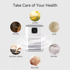 Mini Fragrance Wholesale Personal Best Home Smart air Purifier Smoke China 2025 Home air Purifier Hepa Filter