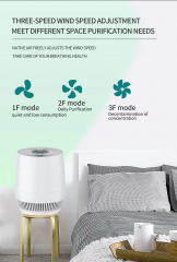 Smart Home Hepa air Purifier Adjustable Wind Speed Competitive Prices Low Noise Advanced Technology H13 Filter