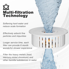6-Inch Booster High Pressure Shower Head with 20-Stage Filtration