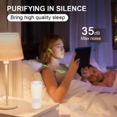 Air Purifier Manufacturer ABS Portable Hepa Activated Carbon Air Purifier With Aroma Function