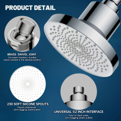 Modern Stainless Steel Household Shower Head with multilevel Filter Pure Water G1/2