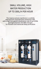 RO Reverse Osmosis 1600G Water Purifier Central Commercial Direct Drinking Water Purification Machine for Milk Tea Shop Outdoor Household Use