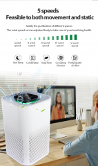 Household Smart Desktop HEPA13/14 Carbon Filter Direct Selling Wholesale Price air Purifier Cleaner