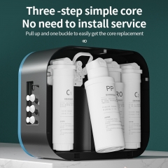 OEM Reverse Osmosis Water Filter RO Machine Best TDS Embossed Filter for Home RO direct drinking water System