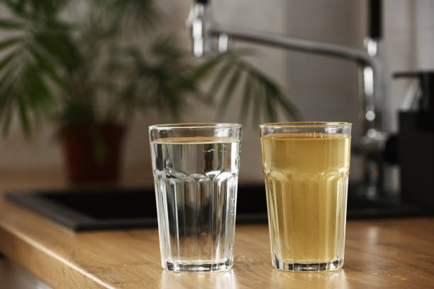 Is drinking tap water really healthy without a water purifier?