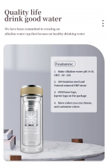 Alkaline Water Bottle pH 9.5 Hydrogen Ball ORP Zinc Mineral element Trace Alkaline Bottled Water with Replacement Filter