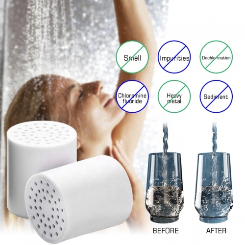 20 Stage Shower head Filter for Bathroom Hard Water Shower Filter Cartridges for Removing Chlorine Fluoride Polished Chrome