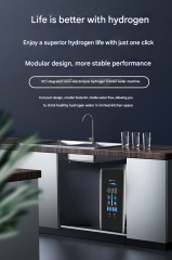 Hydrogen-Rich Water Machine Home Use Direct-Drinking Integrated RO Reverse Osmosis water purifier filter system