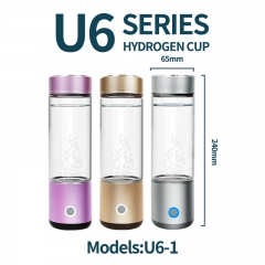 OEM/ODM 800ml Portable Nano Hydrogen Water Generator Bottle Electric for Car Home Outdoor Use