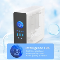 Customizable 600G/800G High-Flow Dual-Output Water Purifier Home Under-Sink Reverse Osmosis Drinking Water System Tap Water Filtration RO Purifier